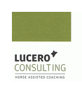 Lucero Consulting